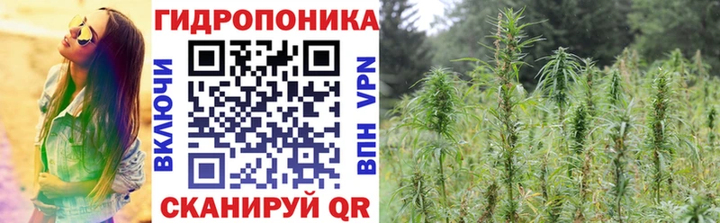 Бошки марихуана Amnesia Бронницы